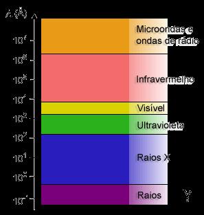 CLOROFILA E ABSORÇÃO DE LUZ A luz é uma onda eletromagnética como as ondas de rádio e