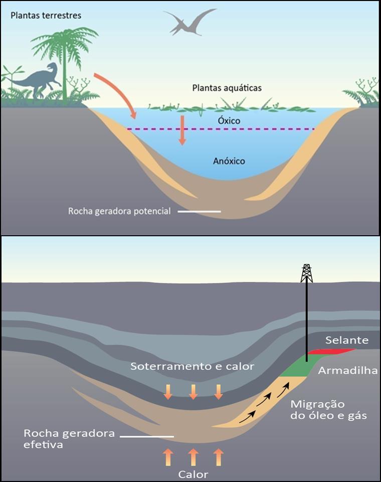 7 Figura 2: Acima: Deposição e preservação da rocha geradora em uma bacia sedimentar. Abaixo: Elementos e processos de um sistema petrolífero. Verde (óleo), vermelho (gás).