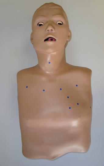 6 - Manequins de ausculta Gaumard. Função: manequim humano adulto para treinamento da ausculta cardíaca e pulmonar.