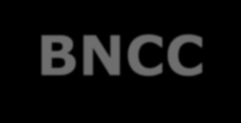 BNCC e os currículos O conjunto de saberes