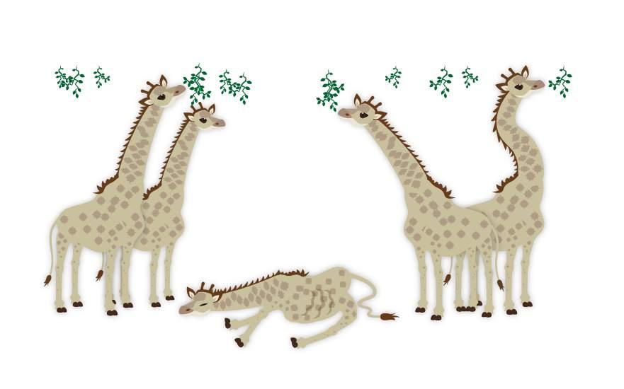 Segundo o Darwinismo, existiam girafas de pescoço longo e pescoço curto.