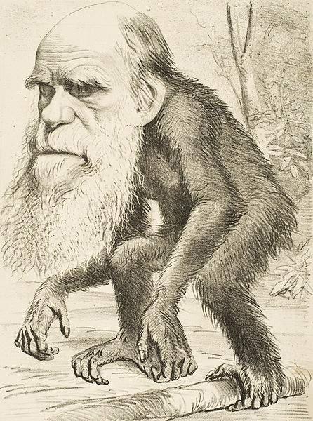Na época em que Darwin sugeriu sua teoria evolucionista foi muito criticado, pois na Bíblia estavam presentes as ideias