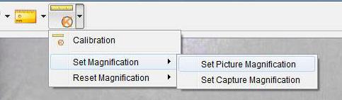 Selecione Set Magnification e Set Picture Magnification, uma caixa de diálogo aparecerá; insira a