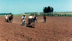 Projetos socioeconômicos: soluções socialmente justas e ec Programa de Reassentamento Rural A primeira experiência da CESP com o Programa de Reassentamento Rural ocorreu em 1979 tendo como objetivo