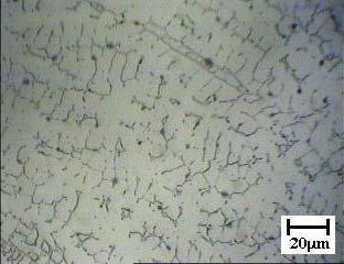 Capítulo V Análise Microestrutural e de Microdureza 94 γ α Figura 5.10.