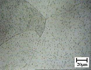 Capítulo V Análise Microestrutural e de Microdureza 103 P α Figura 5.24.