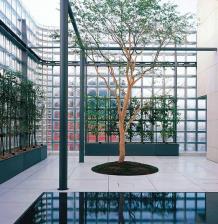 13). 2.2.1 EDIFÍCIO MAISON HERMES Segundo o site do escritório do Renzo, Hermes contratou o arquiteto para projetar um edifício para sua sede comparativa no Japão em 1998.
