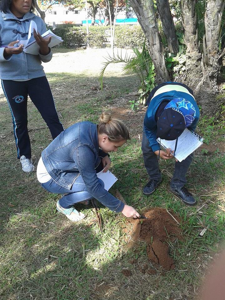 possível ver a compreensão abrangente da temática, pois as falas evidenciavam principalmente a importância de se conservar o meio ambiente, seja no espaço natural ou