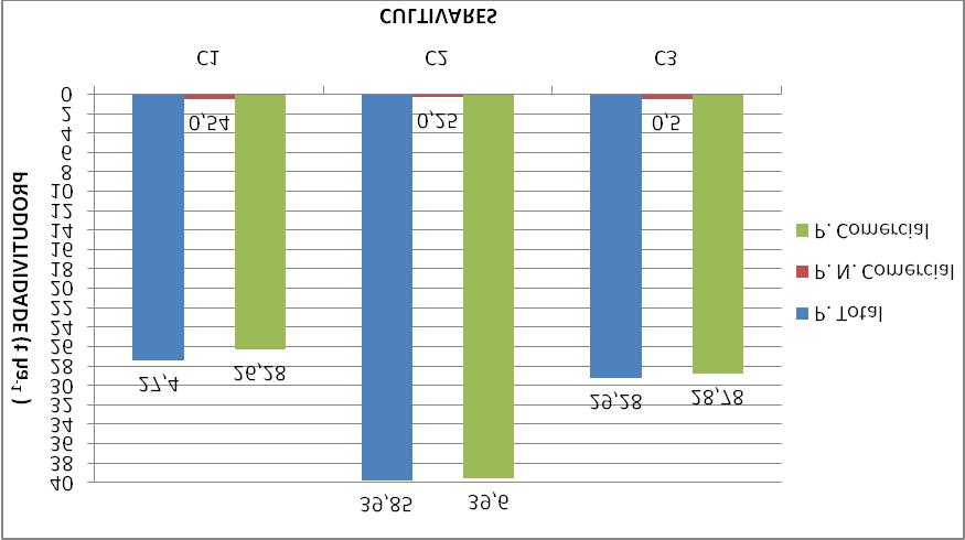 Figura 1. Produção Total, produção não comercial e produção comercial de cultivares de cebola irrigadas por gotejamento.
