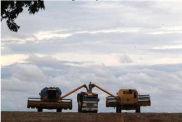 na fazenda Venda em reais (R$) Recebe insumos Preço à vista ou futuro Logística rodoviária Hedge