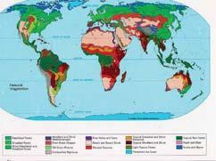 A distribuição da vegetação natural nas diversas regiões da Terra depende basicamente do clima.