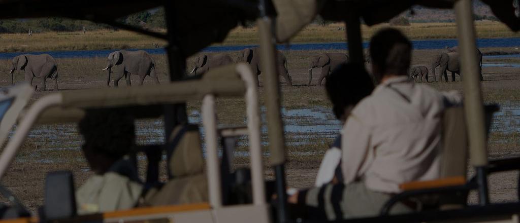 estadia em maravilhosos Hoteis Lodge O Delta do Okavango desperta a curiosidade e interesse de qualquer amante da