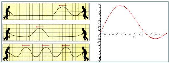 Se provocarmos vários pulsos sucessivos com um movimento sobe-e-desce, teremos várias ondas propagando-se na corda, uma atrás da outra, constituindo uma sucessão de ondas.
