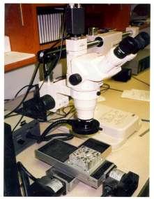 Avaliação do Índice de deterioração do concreto (DRI) DRI contagem dos indícios associados a RAA através do uso de microscopia estereoscópica (16x malhas de