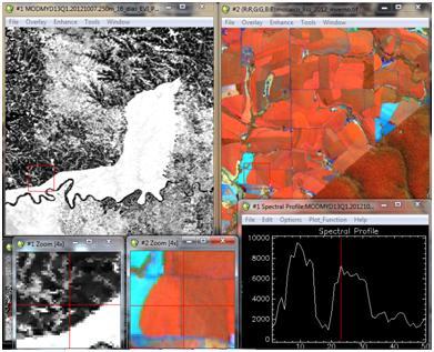 2.1 Métodos 2.1.1 Seleção de pixels puros e extração dos perfis temporais de EVI Para contemplar o ciclo das culturas estudadas, foram utilizadas imagens Landsat-8.