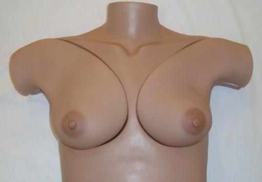 articulado Quantidade: 1 manequim 18 - Tórax com mamas removíveis Função: o