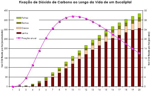 Benefícios Caracterização do sumidouro de CO2 Devido à área verde do empreendimento: As