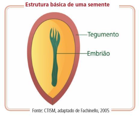 Dois processos distintos: -