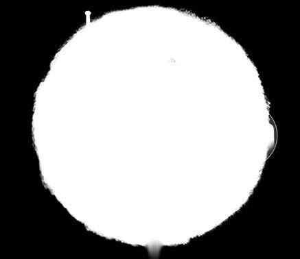 gametófito feminino. A fecundação propriamente dita é quando ocorre a fusão do gameta masculino (núcleo espermático) com o gameta feminino (oosfera), processo também denominado de singamia.