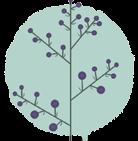 Panícula Inflorescência composta, formada por cacho de cachos. Exemplo: yuca (Yucca gigantea Lem.