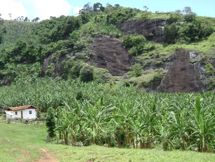 Cultivo de banana em pequena propriedade - Saídas ao campo para reconhecimento das nascentes Continuaram a ser realizadas as visitas ás nascentes para reconhecimento e início da amostragem das
