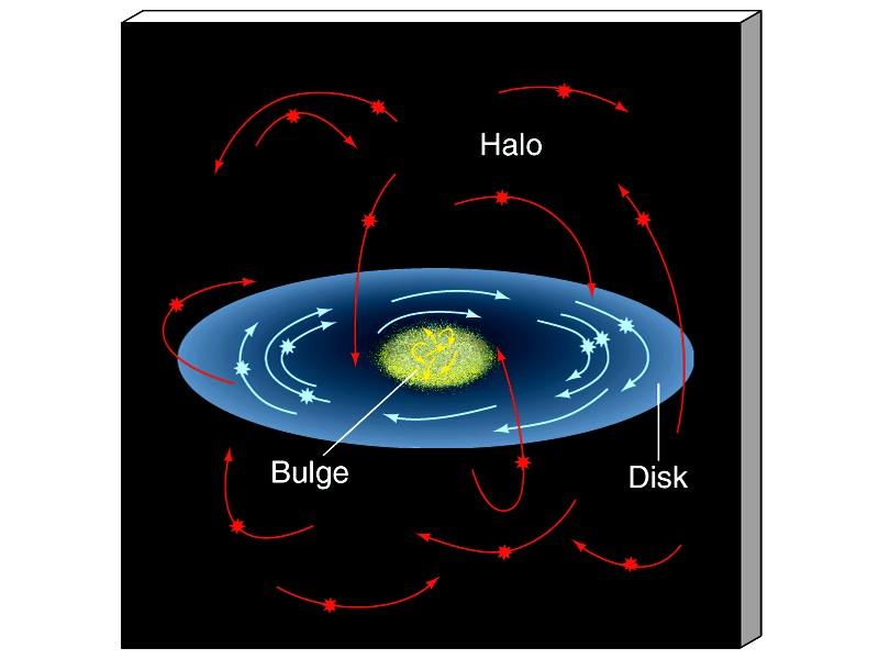 Movimento de rotaçãodiferencial (como os planetas) - estrelas mais próximas da centro galáctico se movem mais rápido (200 a 300 km/s) do que as mais distantes; * Bojo (1 a 6%):