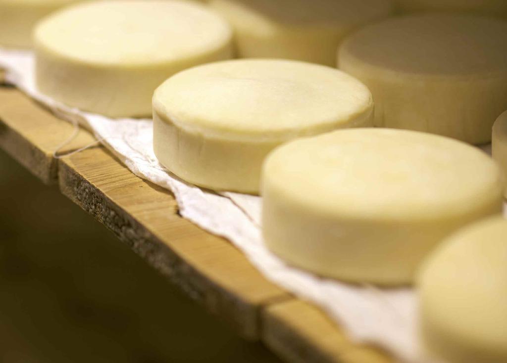 ATRIBUI-SE AOS ROMANOS, a introdução da fabrico do queijo de ovelha na Península Ibérica.
