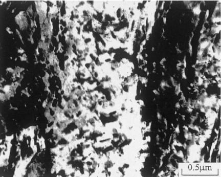 temperaturas mais elevadas foram os contornos de grão da ferrita que apresentavam a função de sítios de nucleação.