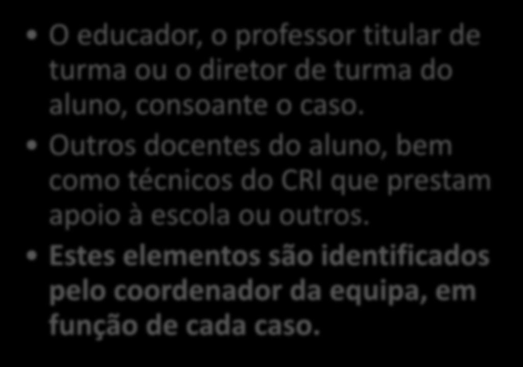 educador, o professor titular de turma ou o diretor de turma do aluno, consoante o caso.