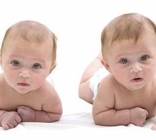 Gêmeos univitelinos ou monozigóticos Ocorre a separação do zigoto dando origem a dois embriões.