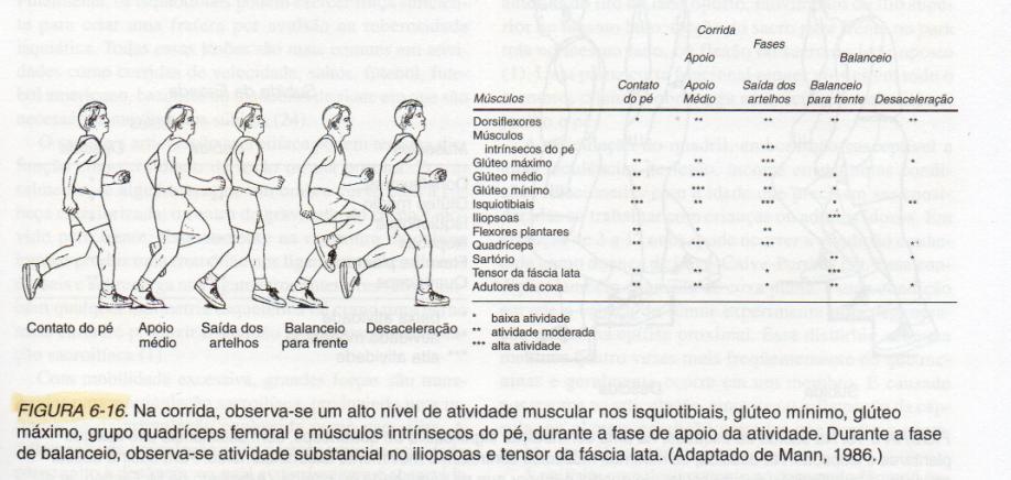 Biomecânica aplicada ao esporte