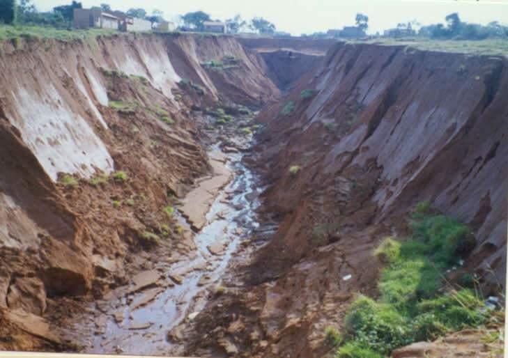 Erosão. Erosão Pluvial: Ocasionado pela água das chuvas.