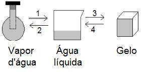 Mudança de estado físico da água Pode-se afirmar que: a) as transformações 3 e 4 são exotérmicas. b) as transformações 1 e 3 são endotérmicas.