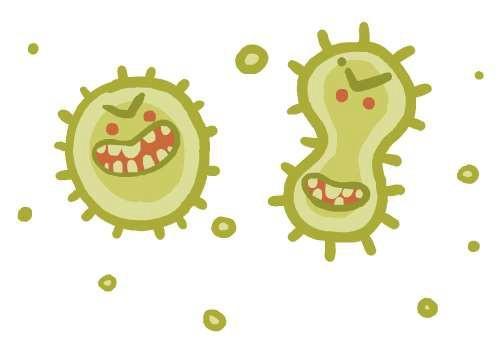 Bactérias Multirresistentes Primeira mente bactérias multirresistentes são microorg anismos resistentesa diferentes cl asses de antimicr obianos testados em exames microb