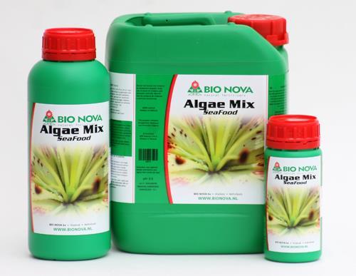 Algae biotecnologia
