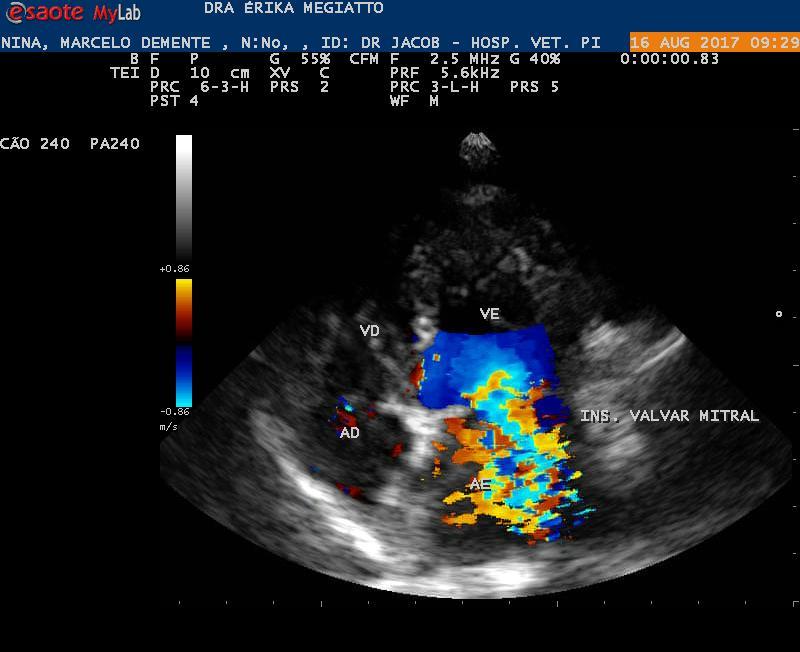 42 Figura 11 Ecocardiograma com Doppler (Insuficiência de valva) Fonte: Imagem cedida pela M.V Especializada em Cardiologia Veterinária Érika Megiatto.