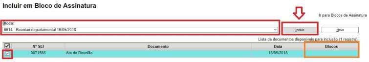 4) No campo Bloco selecione o bloco de assinatura criado.