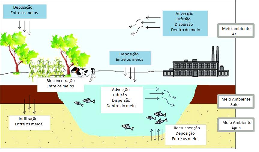 Todos esses fatores determinarão o que acontece com os contaminantes potencialmente nocivos nos solos, como eles podem ser transportados para outros meios (como a água superficial e subterrânea) ou
