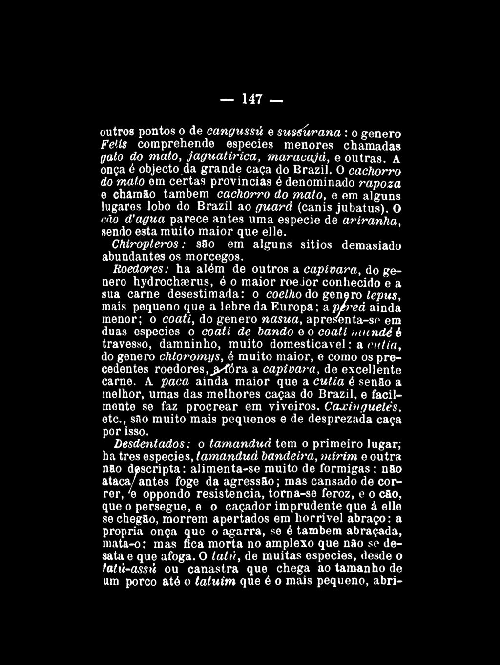 147 outros pontos o de cangussú e sussurana : o gênero Fells comprehende espécies menores chamadas gato do mato, jaguatirica, maracajá, e outras. A onça é objecto.da grande caça do Brazil.