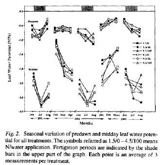 Alfarrobeira aumento da produção sobretudo se interacção de N e rega (Correia et al., 1993, 1995) maior crescimento vegetativo (viveiro, Kyparissis et al.