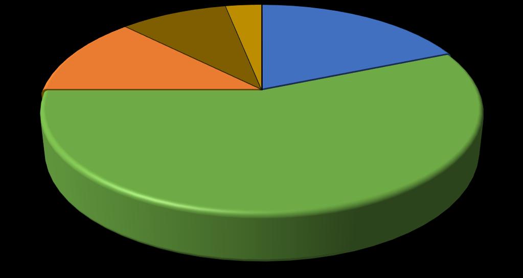 Não executada 9% Não executada neste ciclo 3% Executada 19% Adiada 13% Em execução 56% Figura 4.