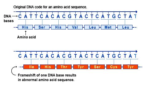 Alteração do Quadro de Leitura (Frameshift) Bases do DNA Código original para a sequência de