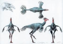 As aves devem ter surgido de grupos de dinossauros carnívoros com penas, como alguns fósseis
