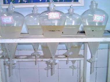Inicialmente, a água produzida, com uma concentração de 21ppm (pré-tratamento por Medeiros, 2008) foi homogeneizada e inserida em tambor de 5L.