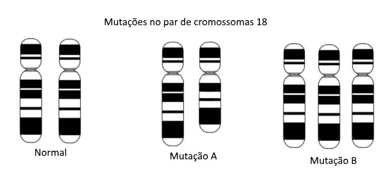 6.2. No esquema a legenda A identifica a) A RNA polimerase b) A DNA polimerase c) A Lactose d) O Triptofano 6.3.