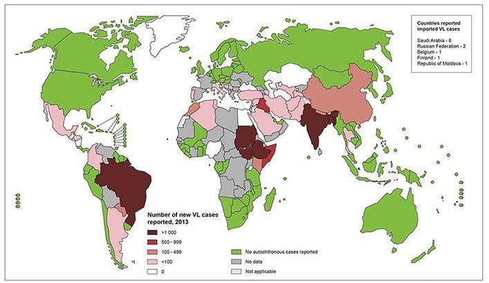 Leishmaniose visceral no mundo 90% dos casos de LV ocorrem em 6