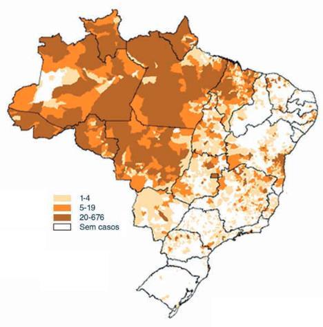 LTA expansão geográfica casos por municípios A partir de