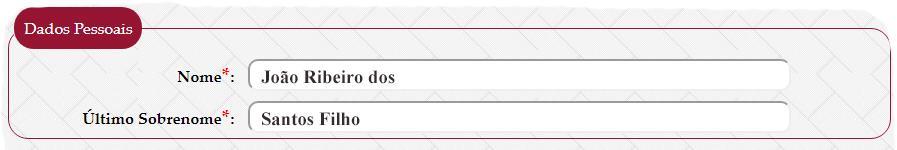 Detalha para os usuários o preenchimento dos campos do Catalogo, módulo desenvolvido para geração automática da Catalogação