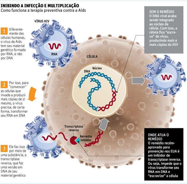 HIV DNA do vírus