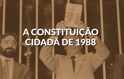 de segurança (suspensão de ordens administrativas consideradas ilegais ou arbitrárias) e as ações populares (atos que qualquer cidadão pode